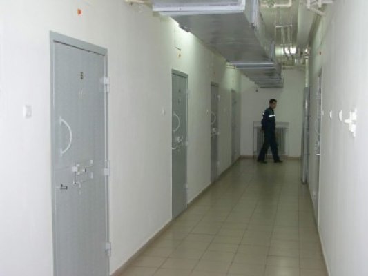 Hoţ arestat pentru 29 de zile